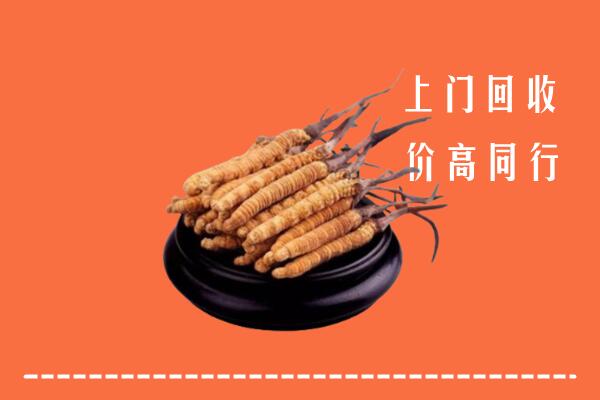 高价求购：遂宁安居回收散虫草