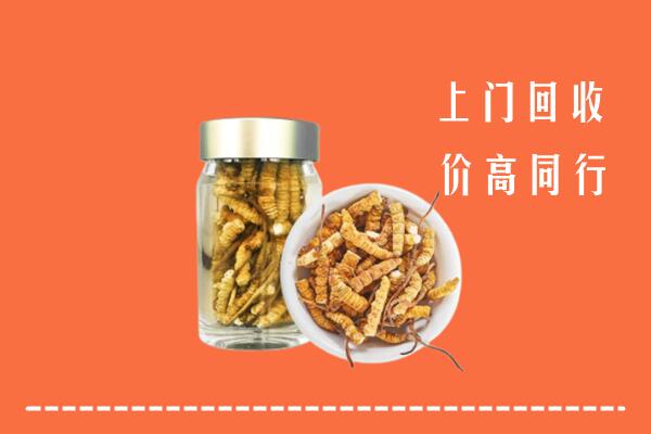 遂宁安居回收冬虫夏草